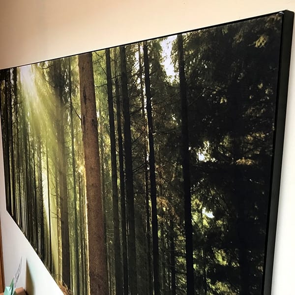 Stretchframe met een foto van een zonnig bos aan een kantoorwand