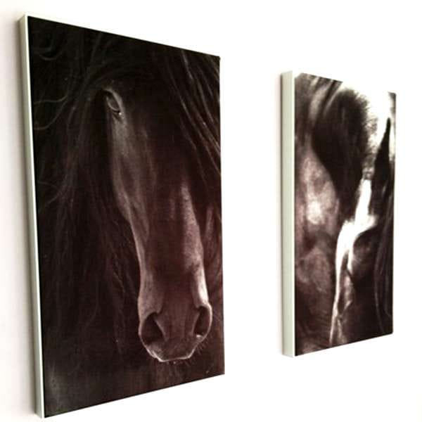 Twee stretchframes met zwart-witfoto's van een paardenhoofd